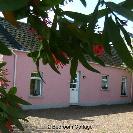 Hallmount Cottage - Belfast Exterior foto