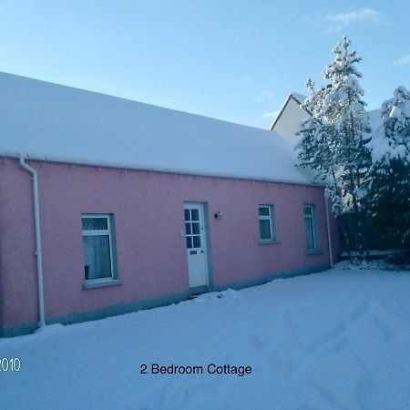 Hallmount Cottage - Belfast Exterior foto