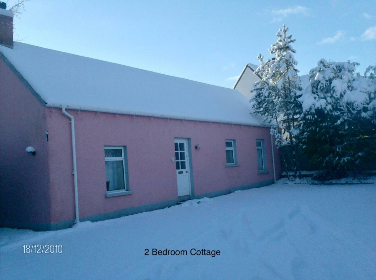 Hallmount Cottage - Belfast Exterior foto